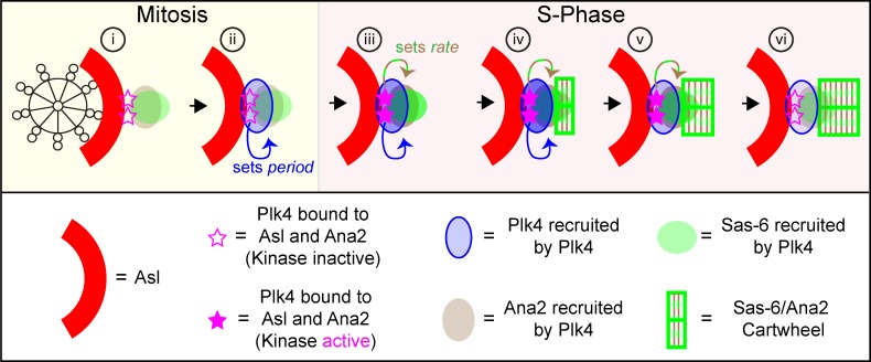 Figure 10.