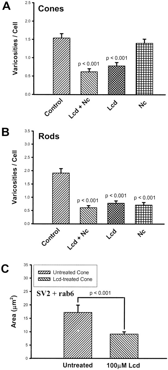 Fig. 11.