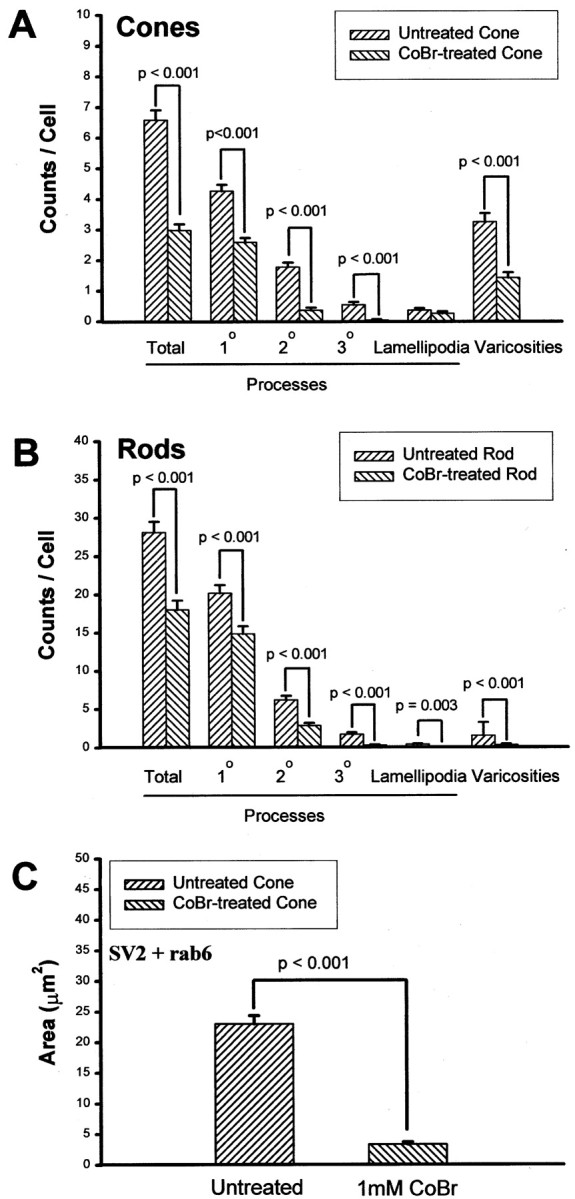 Fig. 10.