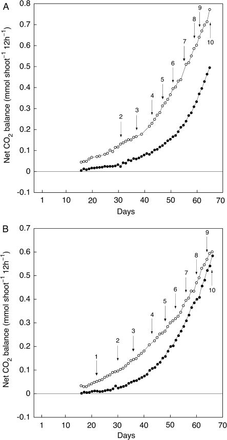 Fig. 4.