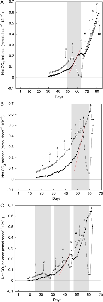 Fig. 5.