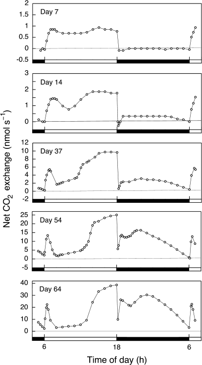 Fig. 2.