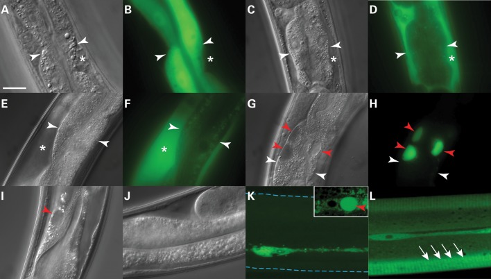 Figure 1.