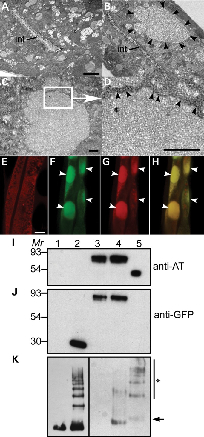 Figure 3.