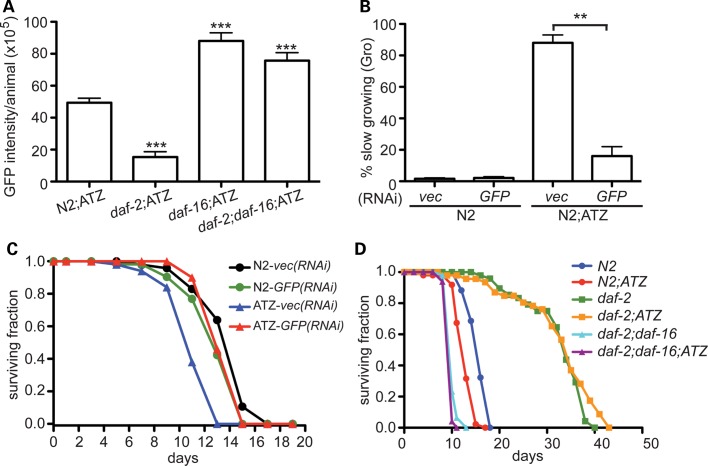 Figure 6.