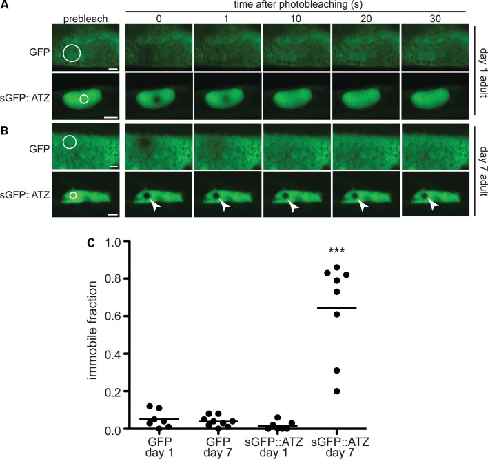 Figure 4.