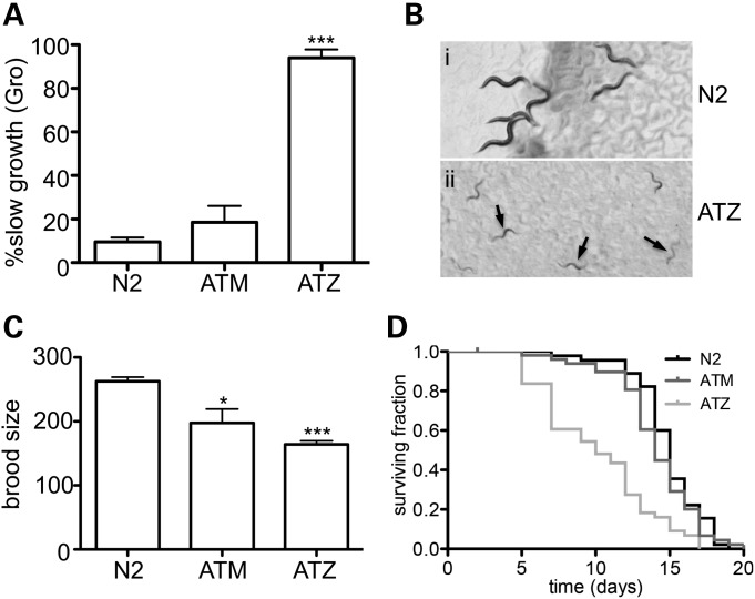 Figure 2.