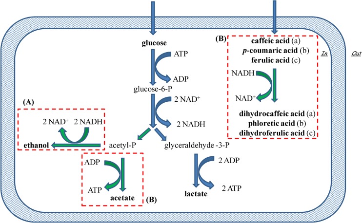 FIG 3