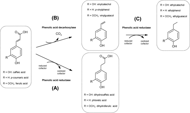 FIG 1