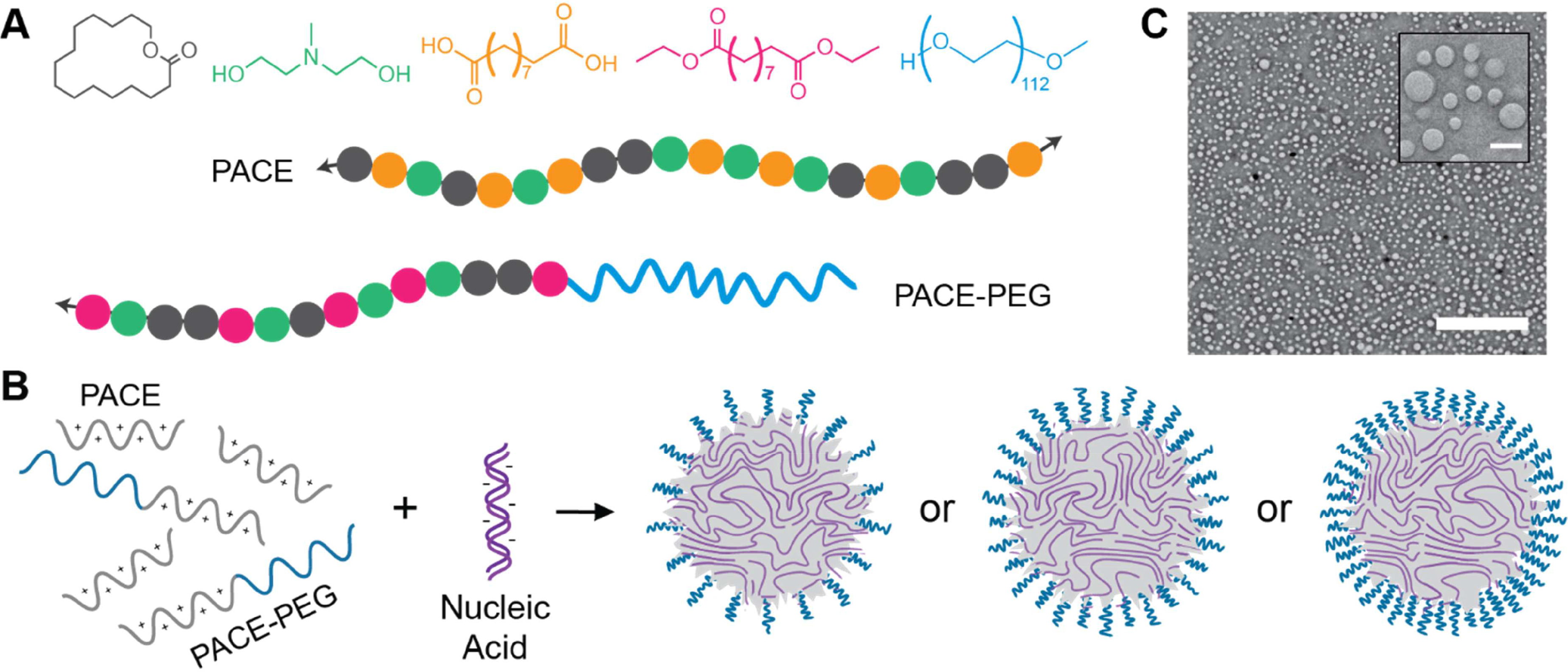 Figure 1: