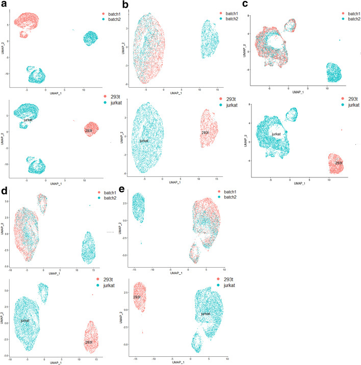 Fig. 10
