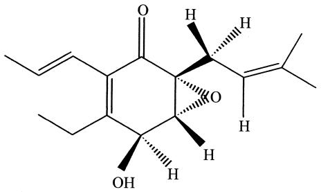 FIG. 5.