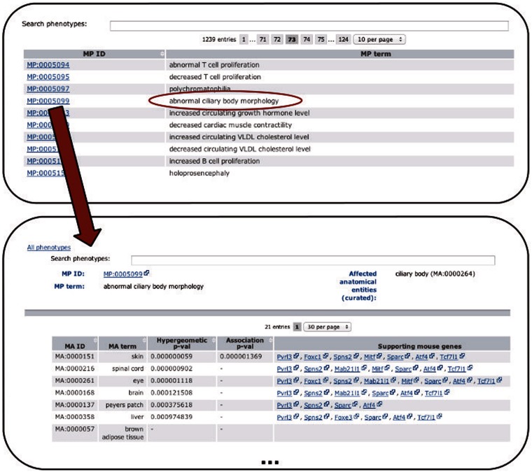 Figure
2.