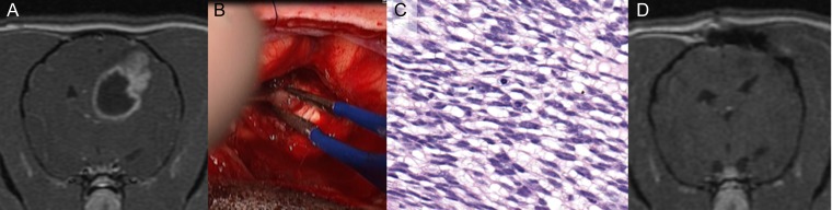 Fig. 4.