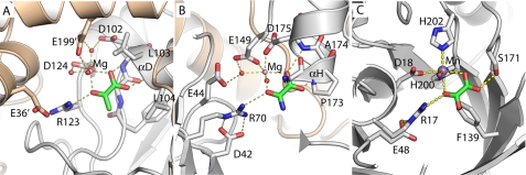 FIGURE 3.