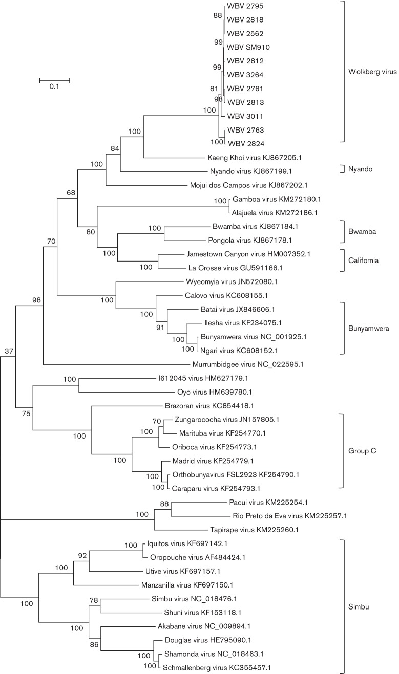 Fig. 3.