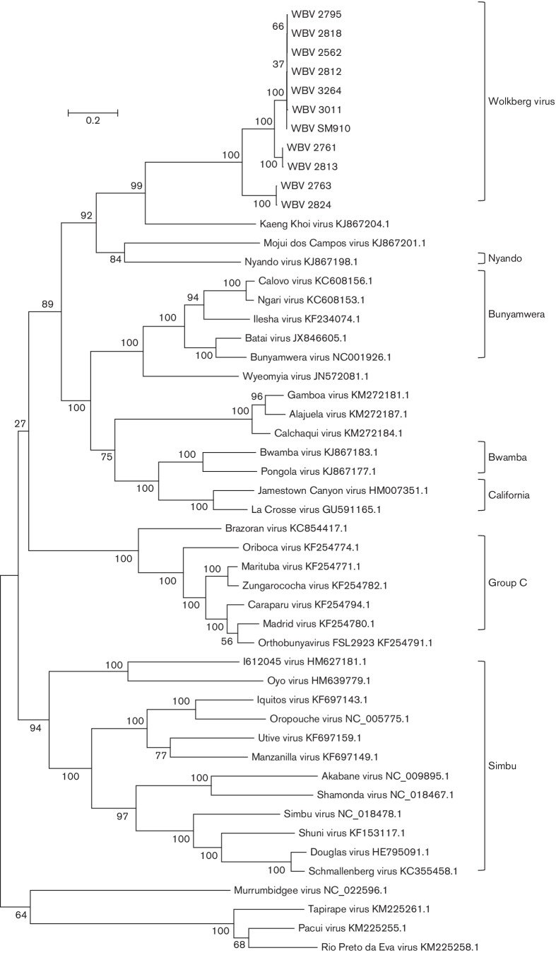 Fig. 4.