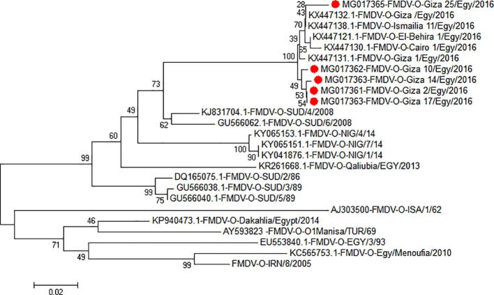 Fig. 3