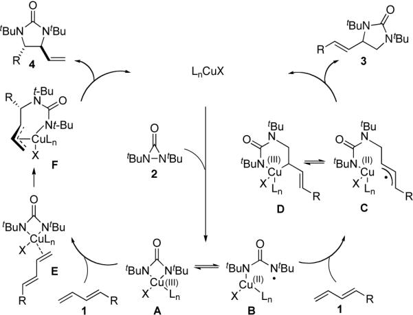 Scheme 4