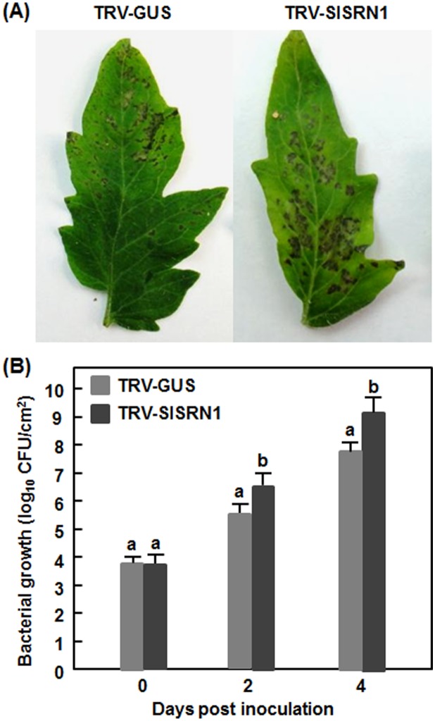 Figure 5