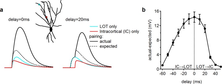 Figure 8—figure supplement 3.