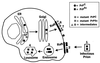 FIG. 9