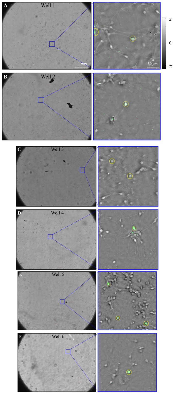 Fig. 6