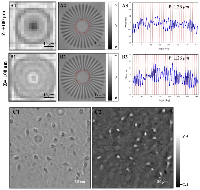 Fig. 3