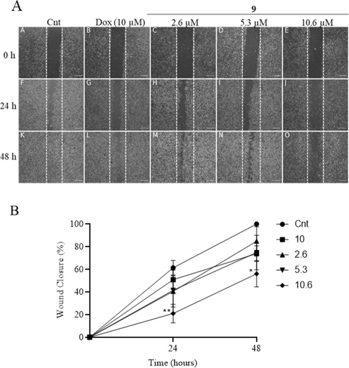 Fig. 4