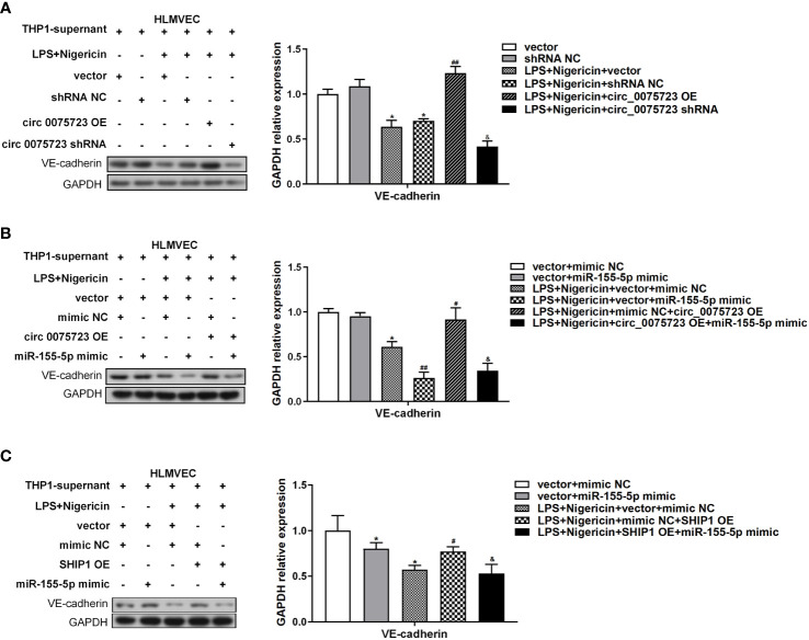 Figure 6