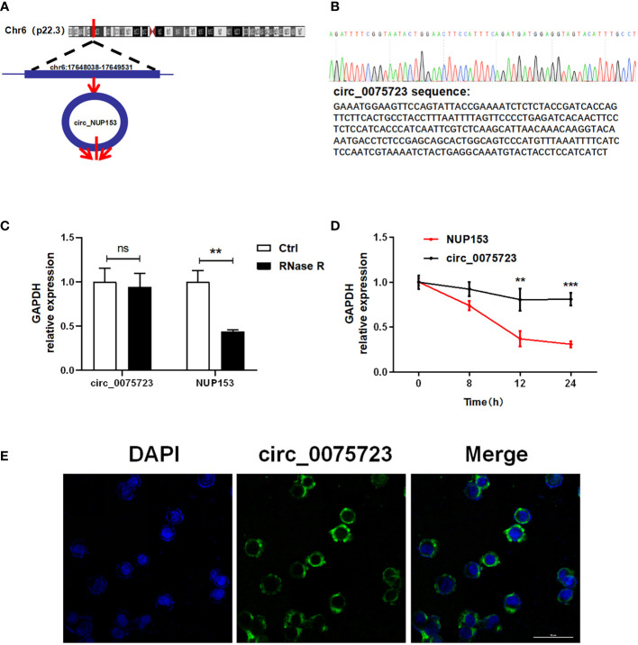 Figure 2