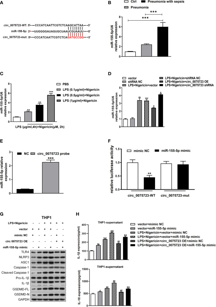 Figure 4