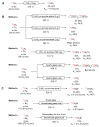 Scheme 5