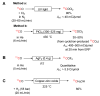 Scheme 6