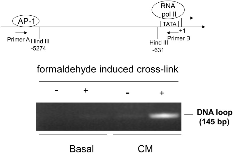 Fig 4