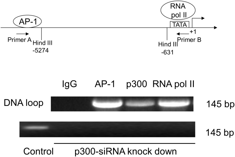 Fig 5