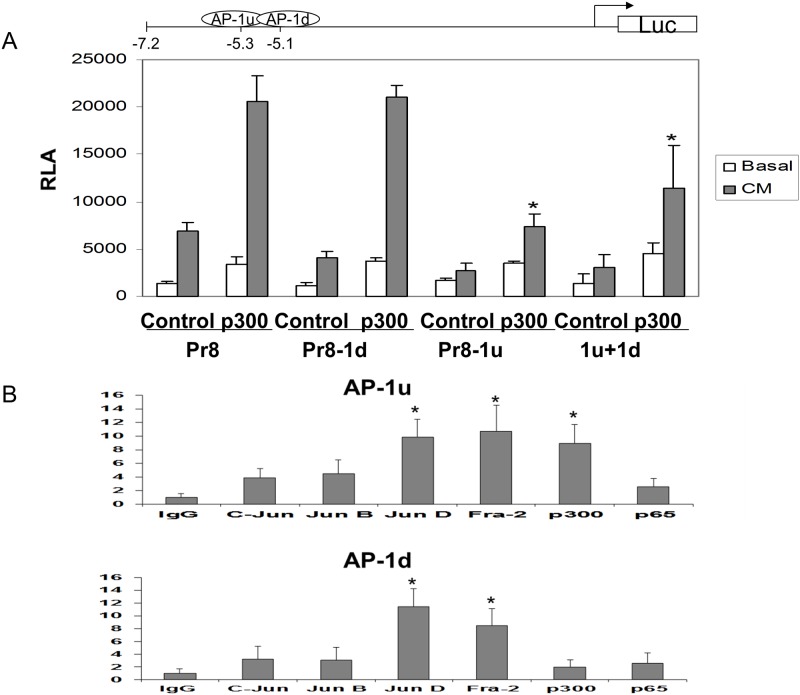 Fig 3