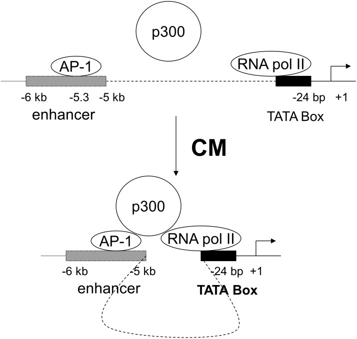 Fig 6