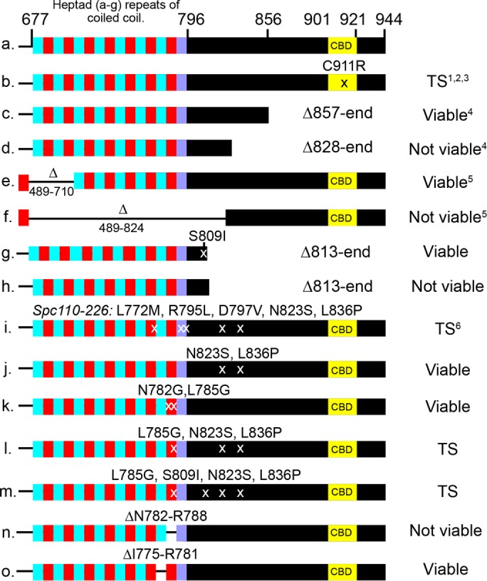 FIGURE 6: