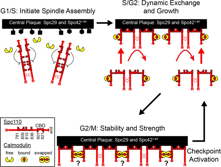 FIGURE 7: