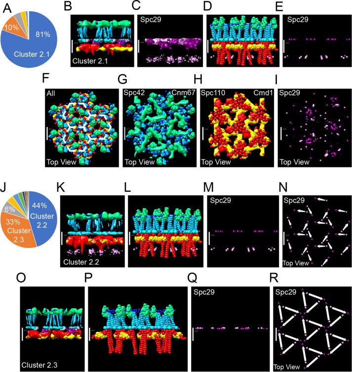 FIGURE 5: