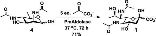 Scheme 2