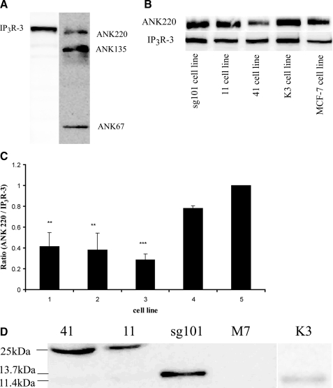 FIGURE 9.