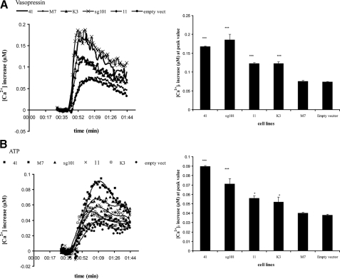 FIGURE 10.