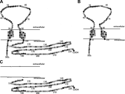 FIGURE 1.