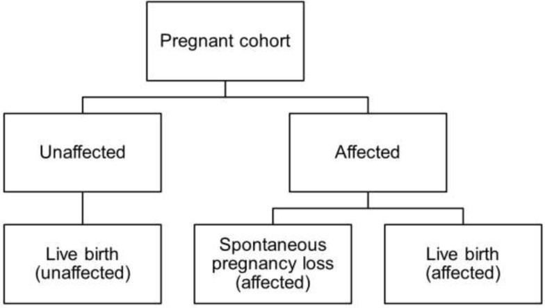 Figure 7: