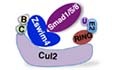 graphic file with name 44319_2023_46_Figb_HTML.jpg