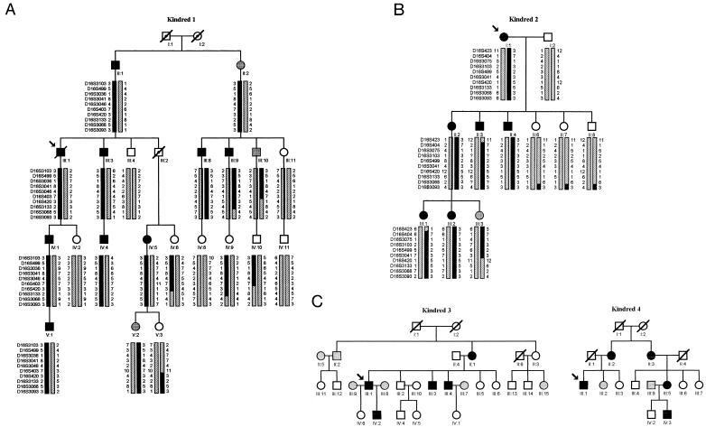 Figure  2