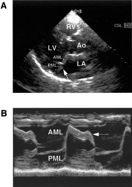 Figure  1