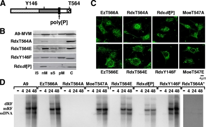 FIG. 3.